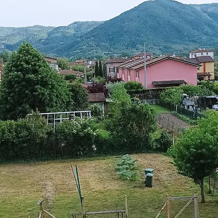 In * Lucca